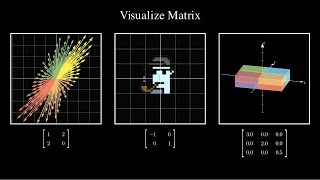 Visualize Different Matrices part1  SEE Matrix Chapter 1 [upl. by Barbour594]