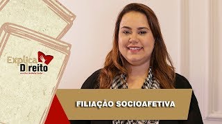 Explica Direito Filiação Socioafetiva  2019 [upl. by Bracci570]