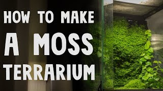 How to Make a Moss Terrarium [upl. by Lemmy681]