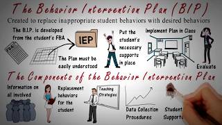 Behavior Intervention Plan BIP Overview [upl. by Orlanta]