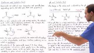 Zwitterion Form of Amino Acids [upl. by Pirzada13]