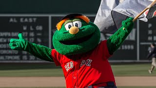 Where’s Wally  The Kidnapping of the Red Sox Mascot [upl. by Patnode]