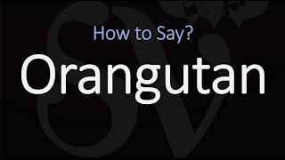 How to Pronounce Orangutan CORRECTLY [upl. by Arahk614]