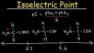 How To Calculate The Isoelectric Point of Amino Acids and Zwitterions [upl. by Latt573]