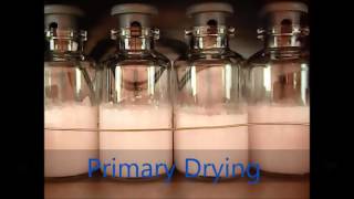 Time Lapse Freeze Drying [upl. by Joana]