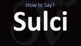 How to Pronounce Sulci CORRECTLY [upl. by Biron306]