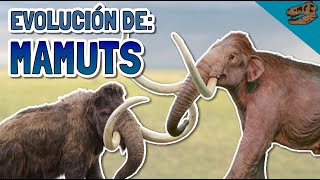 Evolución de los MAMUTS [upl. by Bate604]