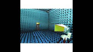 Anechoic Chamber [upl. by Manella198]