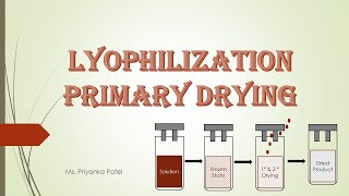 Lyophilization Primary Drying [upl. by Wilda895]