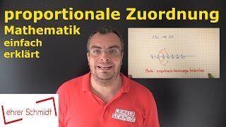 Proportionale Zuordnung  Mathematik  Lehrerschmidt  einfach erklärt [upl. by Sharron]