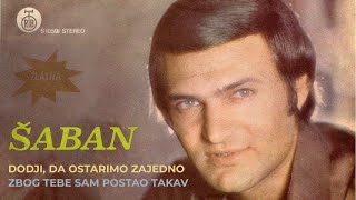 Saban Saulic  Zbog tebe sam postao takav  Audio 1978 [upl. by Anec]