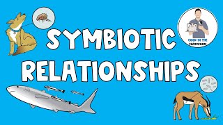 Symbiotic Relationships [upl. by Pip]