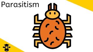 Parasitism Examples [upl. by Lesly610]