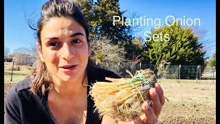 Planting Onion Sets  Tips amp Tricks 👩🏽‍🌾 [upl. by Bianca]