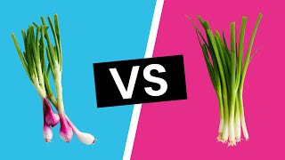 Spring Onion vs Green Onions  Whats the Difference [upl. by Essinger]