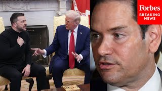 You Dont See All The Things That Led Up To This Rubio Defends Trump After Clash With Zelensky [upl. by Safko]