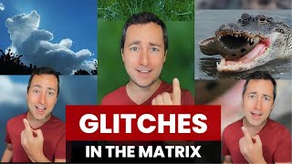 Glitches in the Matrix Compilation [upl. by Wagshul362]