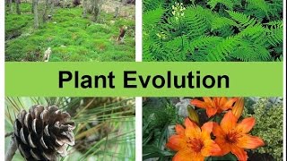 Plant Evolution updated [upl. by Carolin]