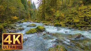 Beautiful Nature Video in 4K Ultra HD  Autumn River Sounds  5 Hours Long [upl. by Shandeigh324]