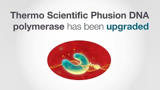 Phusion Plus DNA Polymerase [upl. by Mariana]