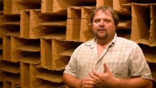 The Anechoic Chamber at Paradigm Acoustics [upl. by Gibbs]