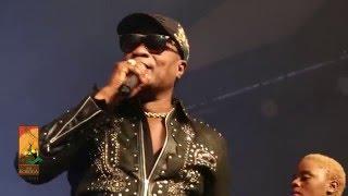 Koffi Olomide performs Effrakata Live at The Koroga Festival [upl. by Ttesil]