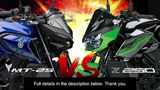 YAMAHA MT25 vs KAWASAKI Z250 ABS 2020 comparison between 250cc with the same price range [upl. by Lissy]