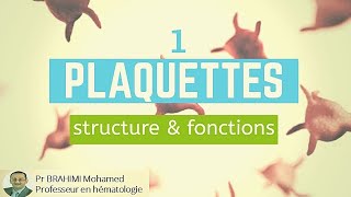 PLAQUETTES  structure et fonctions 1 [upl. by Eisnil]