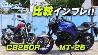 MT25とCB250Rを簡単に比較インプレッション！ Motorcycle Fantasy [upl. by Remas]