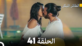 مسلسل الطائر المبكر الحلقة 41 Arabic Dubbed  FULL HD [upl. by Eyla]