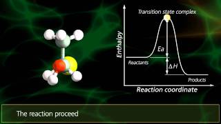 SN2 Reactions  University Of Surrey [upl. by Rydder]