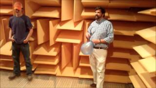 Anechoic chamber [upl. by Benco733]