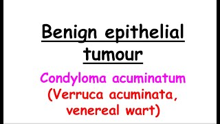 condyloma acuminatum English [upl. by Anerehs]