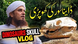 Mufti Tariq Masood Dinosaurs skull Vlog [upl. by Staw]