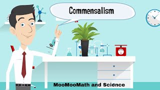 Examples of Commensalism [upl. by Eliath289]