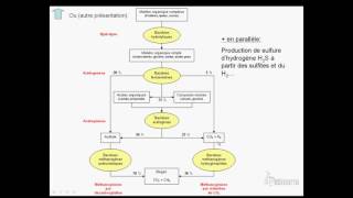 méthanisation 2sur12 Procédé biologique [upl. by Kelson]