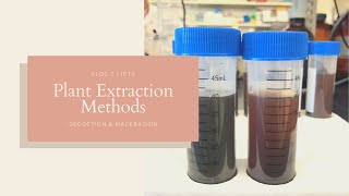 Plant Extraction Methods  Decoction and Maceration  JPTV [upl. by Haroved766]