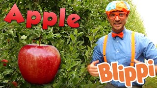 Learning Healthy Eating With Blippi  Apples Factory  Educational Videos For Kids [upl. by Yesteb]