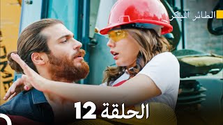 مسلسل الطائر المبكر الحلقة 12 Arabic Dubbed  FULL HD [upl. by Adriena]