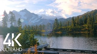 8 Hours of Birds Singing on the Lakeshore and Water Sounds  Relaxing Nature Sounds  Mount Shuksan [upl. by Atteuqaj]