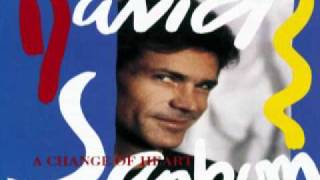 David Sanborn  Chicago Song  87 Smooth Jazz [upl. by Anecusa109]