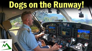 HOW I BECAME A BUSH PILOT in Papua New Guinea [upl. by Ainslee468]