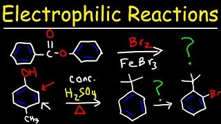 Electrophilic Aromatic Substitution Reactions Made Easy [upl. by Marvel]