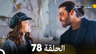 مسلسل الطائر المبكر الحلقة 78 Arabic Dubbed  FULL HD [upl. by Netniuq]