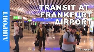 TRANSIT WALK AT FRANKFURT Airport FRA Terminal 1  Connection Flight Transfer Arriving amp Departing [upl. by Luaped]