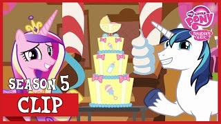 Shining Armor and Cadence are Having A BABY The One Where Pinkie Pie Knows  MLP FiM HD [upl. by Ahtenek]