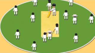 How to Play Cricket [upl. by Millicent]