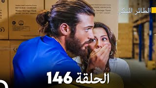 مسلسل الطائر المبكر الحلقة 146 Arabic Dubbed  FULL HD [upl. by Retsbew]