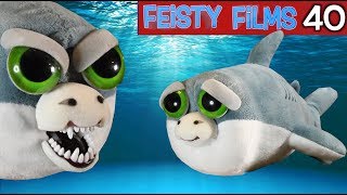 Feisty Films Ep 40 The Baby Shark Song [upl. by Sidhu75]